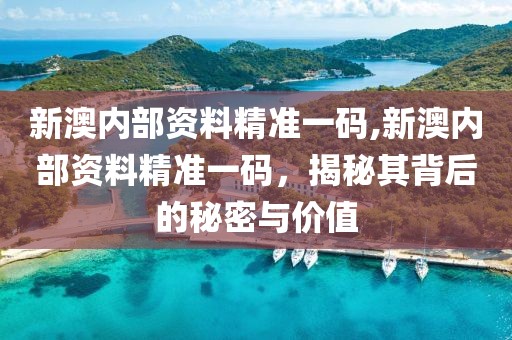 新澳内部资料精准一码,新澳内部资料精准一码，揭秘其背后的秘密与价值