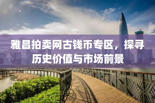 雅昌拍卖网古钱币专区，探寻历史价值与市场前景