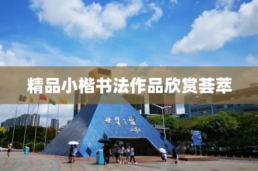 精品小楷书法作品欣赏荟萃