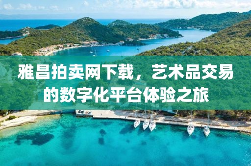 雅昌拍卖网下载，艺术品交易的数字化平台体验之旅