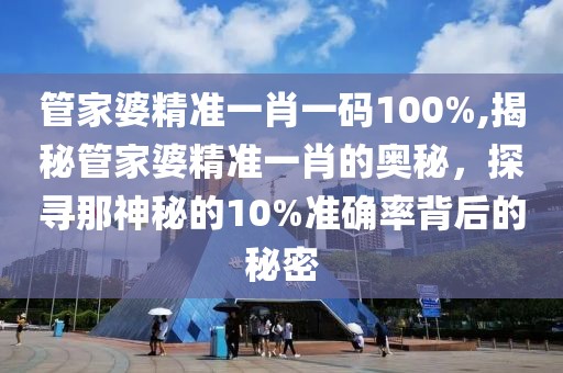 管家婆精准一肖一码100%,揭秘管家婆精准一肖的奥秘，探寻那神秘的10%准确率背后的秘密