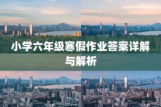 小学六年级寒假作业答案详解与解析