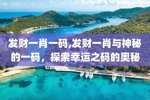 发财一肖一码,发财一肖与神秘的一码，探索幸运之码的奥秘