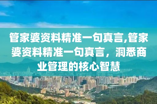 管家婆资料精准一句真言,管家婆资料精准一句真言，洞悉商业管理的核心智慧