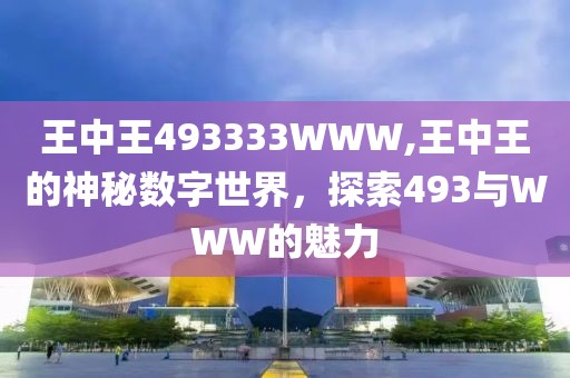 王中王493333WWW,王中王的神秘数字世界，探索493与WWW的魅力
