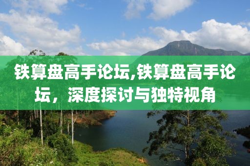 铁算盘高手论坛,铁算盘高手论坛，深度探讨与独特视角