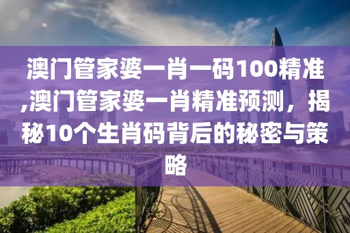 澳门管家婆一肖一码100精准,澳门管家婆一肖精准预测，揭秘10个生肖码背后的秘密与策略