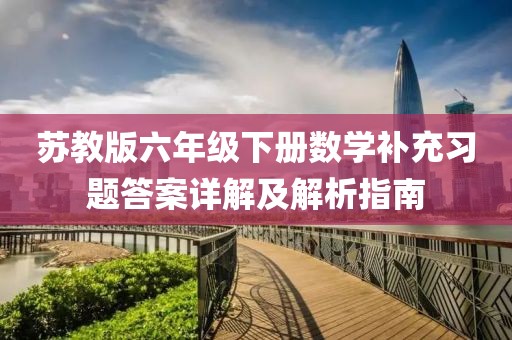苏教版六年级下册数学补充习题答案详解及解析指南