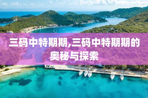 三码中特期期,三码中特期期的奥秘与探索