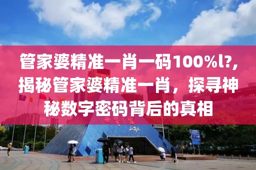 管家婆精准一肖一码100%l?,揭秘管家婆精准一肖，探寻神秘数字密码背后的真相