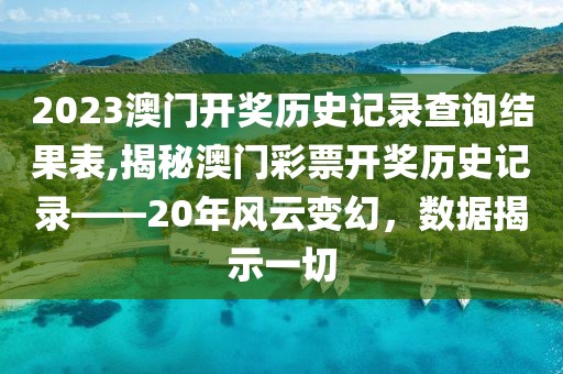 2023澳门开奖历史记录查询结果表,揭秘澳门彩票开奖历史记录——20年风云变幻，数据揭示一切