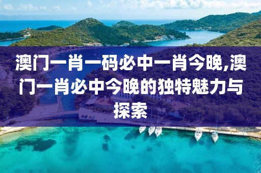 澳门一肖一码必中一肖今晚,澳门一肖必中今晚的独特魅力与探索
