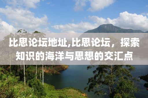 比思论坛地址,比思论坛，探索知识的海洋与思想的交汇点