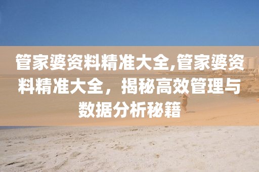 管家婆资料精准大全,管家婆资料精准大全，揭秘高效管理与数据分析秘籍