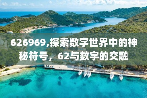 626969,探索数字世界中的神秘符号，62与数字的交融