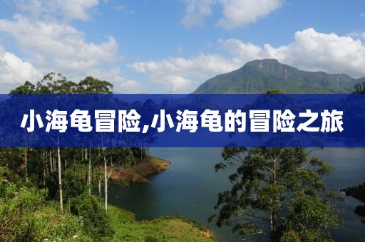 小海龟冒险,小海龟的冒险之旅
