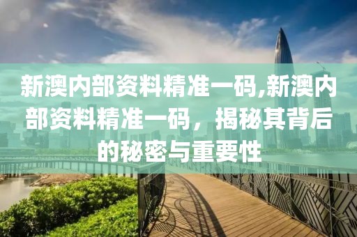 新澳内部资料精准一码,新澳内部资料精准一码，揭秘其背后的秘密与重要性