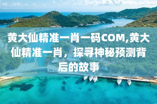 黄大仙精准一肖一码COM,黄大仙精准一肖，探寻神秘预测背后的故事