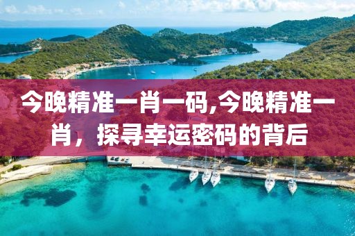 今晚精准一肖一码,今晚精准一肖，探寻幸运密码的背后