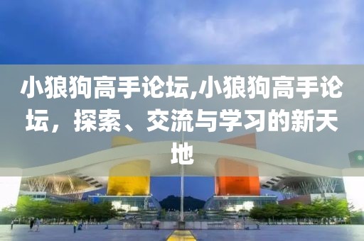 小狼狗高手论坛,小狼狗高手论坛，探索、交流与学习的新天地