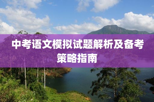 中考语文模拟试题解析及备考策略指南