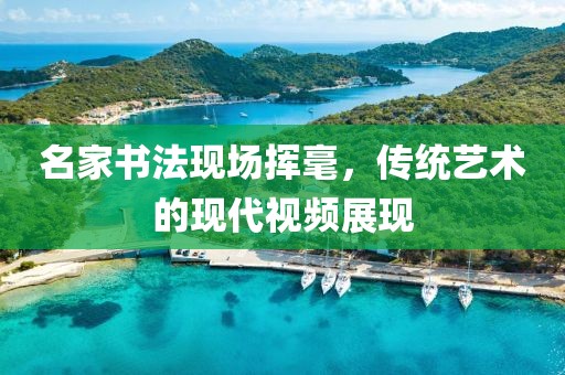 名家书法现场挥毫，传统艺术的现代视频展现