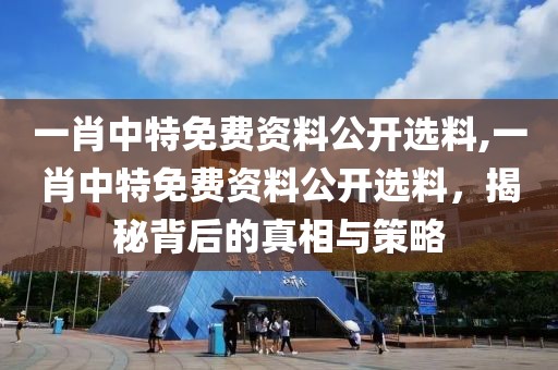 一肖中特免费资料公开选料,一肖中特免费资料公开选料，揭秘背后的真相与策略