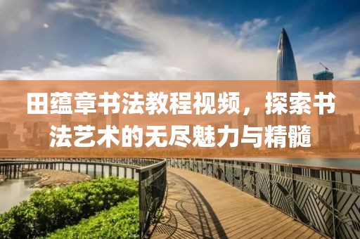 田蕴章书法教程视频，探索书法艺术的无尽魅力与精髓