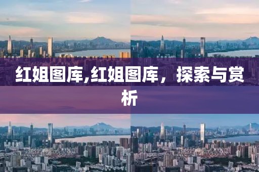 红姐图库,红姐图库，探索与赏析