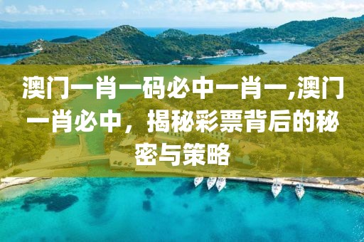 澳门一肖一码必中一肖一,澳门一肖必中，揭秘彩票背后的秘密与策略