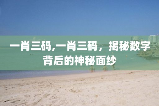 一肖三码,一肖三码，揭秘数字背后的神秘面纱