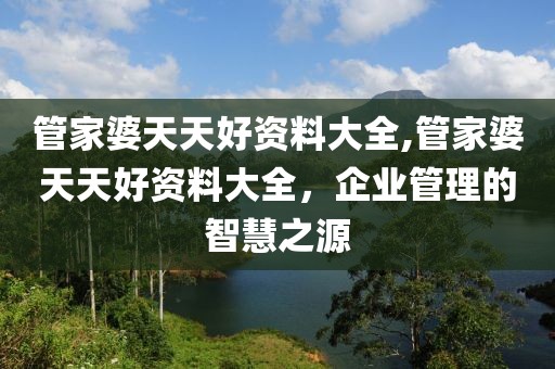 管家婆天天好资料大全,管家婆天天好资料大全，企业管理的智慧之源
