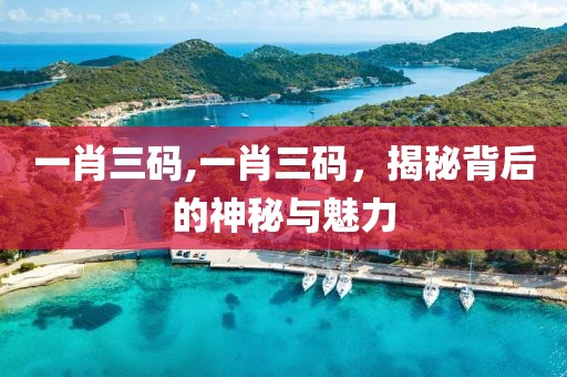 一肖三码,一肖三码，揭秘背后的神秘与魅力