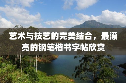 艺术与技艺的完美结合，最漂亮的钢笔楷书字帖欣赏