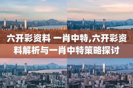 六开彩资料 一肖中特,六开彩资料解析与一肖中特策略探讨