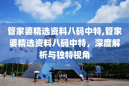 管家婆精选资料八码中特,管家婆精选资料八码中特，深度解析与独特视角