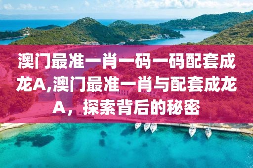 澳门最准一肖一码一码配套成龙A,澳门最准一肖与配套成龙A，探索背后的秘密
