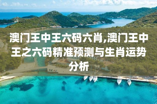 澳门王中王六码六肖,澳门王中王之六码精准预测与生肖运势分析