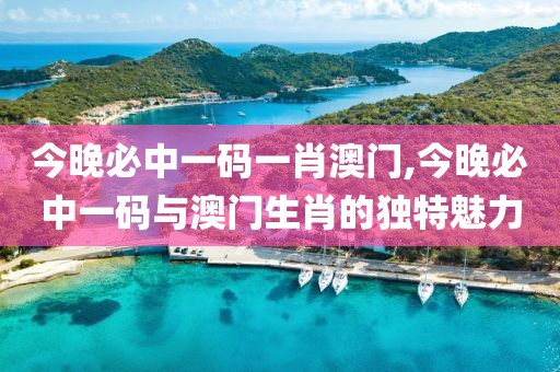 今晚必中一码一肖澳门,今晚必中一码与澳门生肖的独特魅力