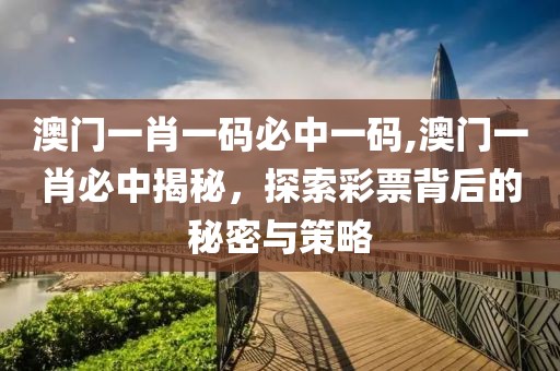 澳门一肖一码必中一码,澳门一肖必中揭秘，探索彩票背后的秘密与策略