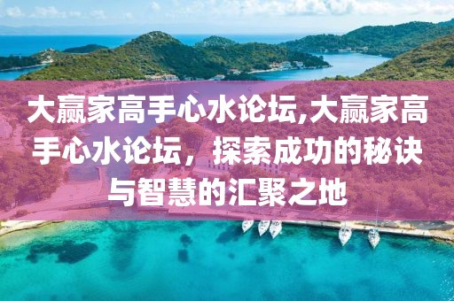大赢家高手心水论坛