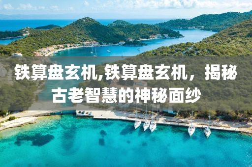 铁算盘玄机,铁算盘玄机，揭秘古老智慧的神秘面纱