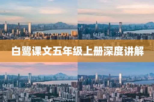 白鹭课文五年级上册深度讲解