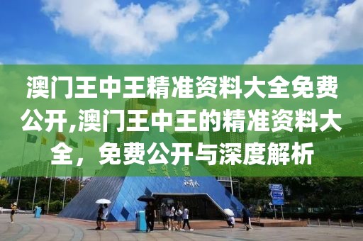 澳门王中王精准资料大全免费公开,澳门王中王的精准资料大全，免费公开与深度解析