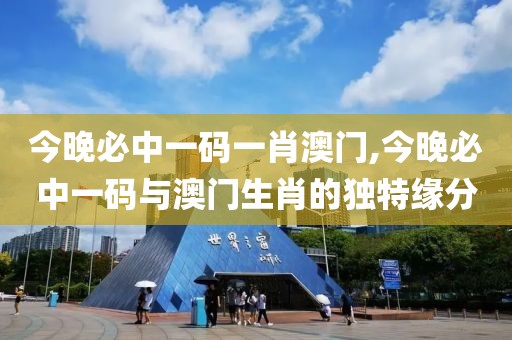 今晚必中一码一肖澳门,今晚必中一码与澳门生肖的独特缘分
