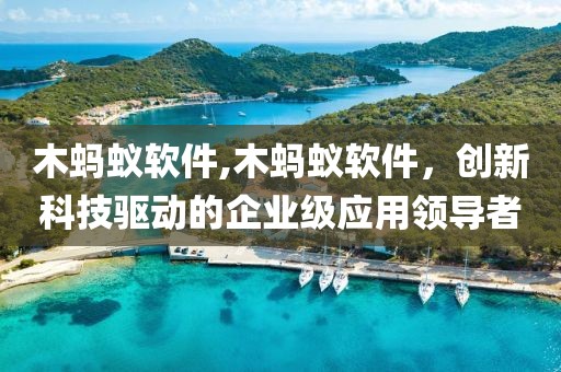 木蚂蚁软件,木蚂蚁软件，创新科技驱动的企业级应用领导者
