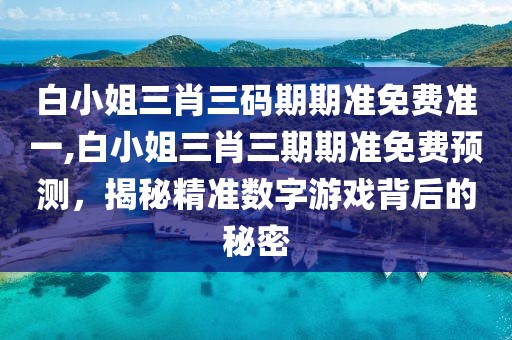 白小姐三肖三码期期准免费准一,白小姐三肖三期期准免费预测，揭秘精准数字游戏背后的秘密