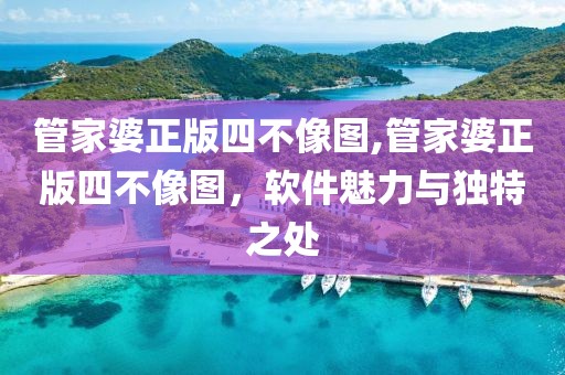 管家婆正版四不像图,管家婆正版四不像图，软件魅力与独特之处
