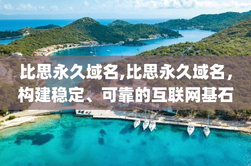比思永久域名,比思永久域名，构建稳定、可靠的互联网基石
