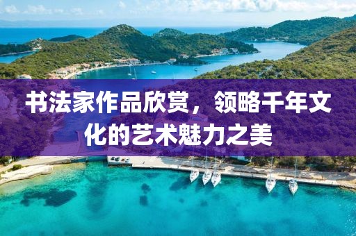 书法家作品欣赏，领略千年文化的艺术魅力之美